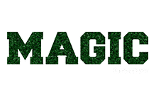 Logo - Magic Gramas