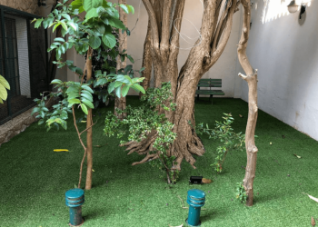 Saiba como escolher a grama sintética ideal para decorar o seu ambiente