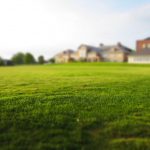 Vale a pena usar grama sintética no jardim?
