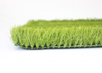 Tipos de grama para jardim e seus benefícios