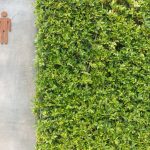 Jardim vertical com grama sintética: exemplos e benefícios