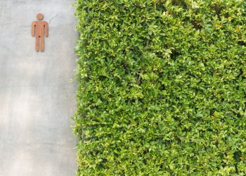 Jardim vertical com grama sintética: exemplos e benefícios