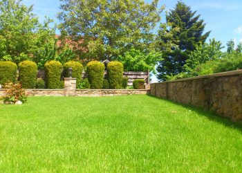 Paisagismo com grama sintética: vantagens e como escolher!