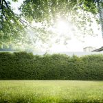 Os 7 benefícios da grama sintética para quintal : Descubra por que essa opção é uma alternativa sustentável e de fácil manutenção