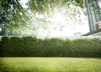 Os 7 benefícios da grama sintética para quintal : Descubra por que essa opção é uma alternativa sustentável e de fácil manutenção