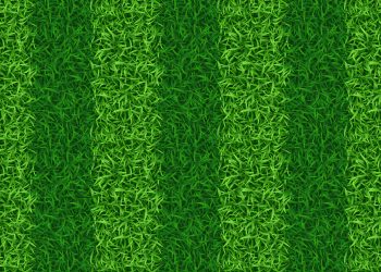 benefícios da grama sintética colorida