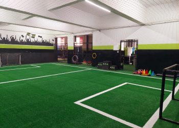 vantagens do uso da grama sintética